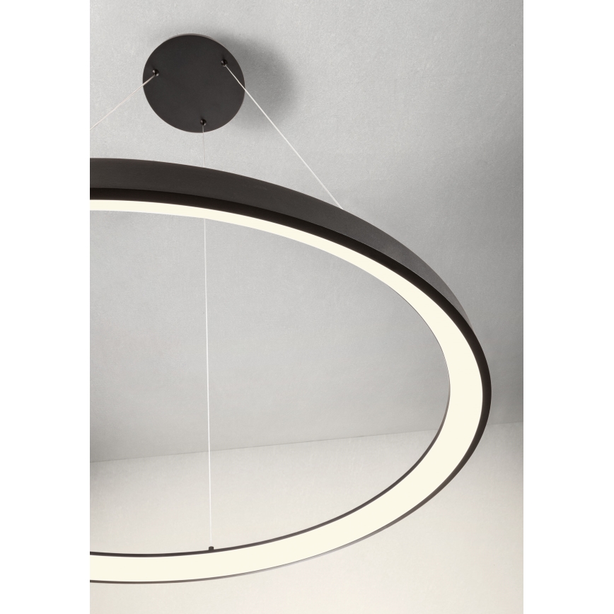 Redo 01-2674 - LED Stmievateľný luster na lanku ICONIC LED/50W/230V pr. 58 cm čierna