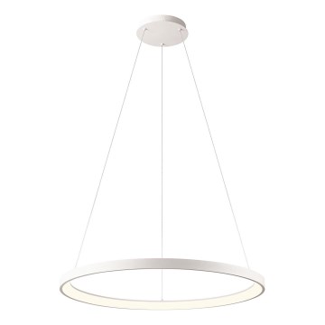 Redo 01-2675 - Stmievateľný LED luster na lankách ICONIC LED/60W/230V pr. 78 cm biela