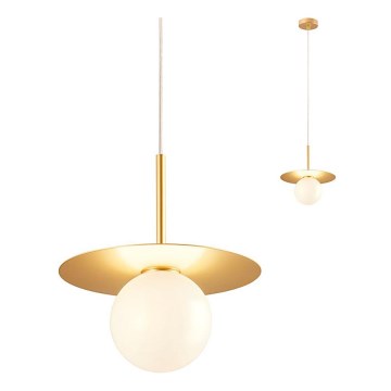 Redo 01-2727 - Luster na lanku PLATO 1xG9/10W/230V pr. 20 cm zlatá