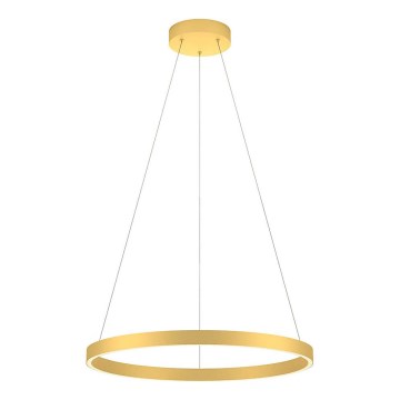Redo 01-2865 - LED Stmievateľný luster na lanku FEBE LED/37W/230V zlatá