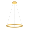 Redo 01-2865 - LED stmievateľný luster na lanku FEBE LED/37W/230V zlatý