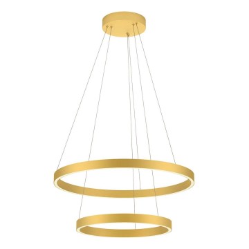 Redo 01-2889 - LED Stmievateľný luster na lanku FEBE LED/62W/230V zlatý