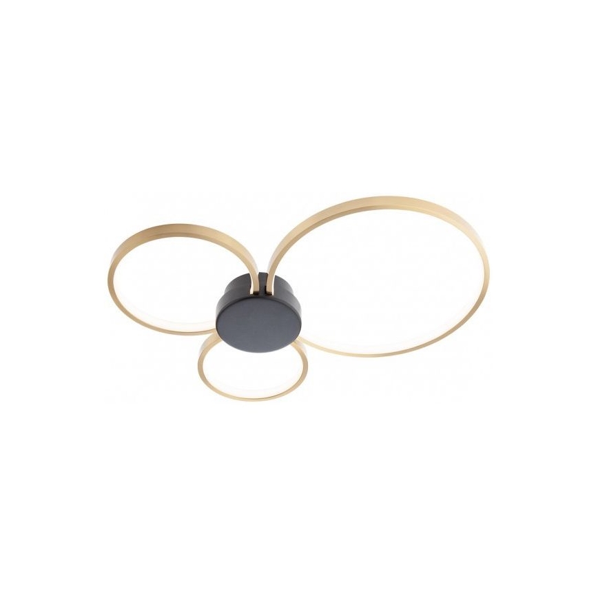 Redo 01-3105 - LED Stropné svietidlo ATOM LED/20W/230V