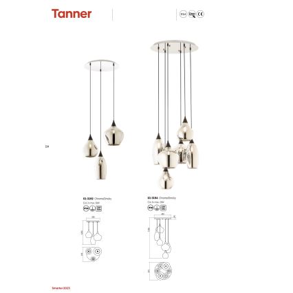 Redo 01-3194 - Luster na lanku TANNER 6xE14/28W/230V pr. 47,2 cm