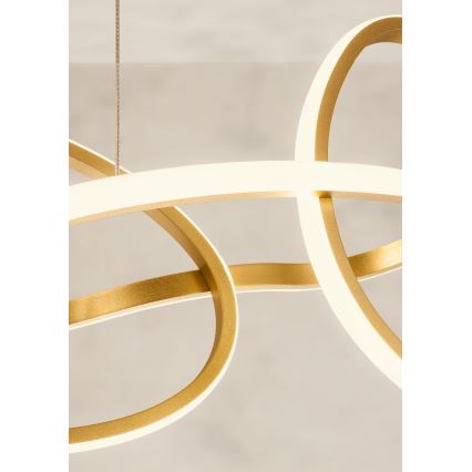 Redo 01-3392 - stmievateľný LED luster na lane BIAS LED/120W/230V 3000/4500/6500K CRI 90 zlatý