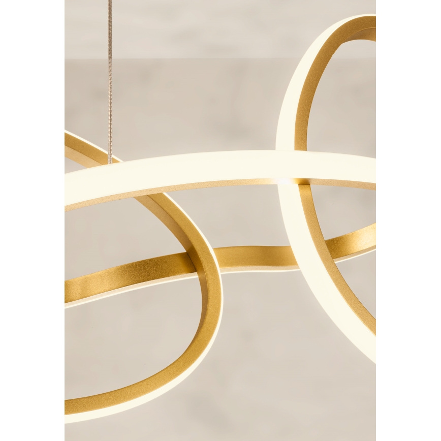 Redo 01-3392 - stmievateľný LED luster na lane BIAS LED/120W/230V 3000/4500/6500K CRI 90 zlatý