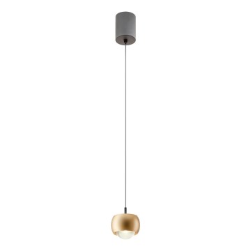 Redo 01-3547 - LED Luster na lanku AVES LED/12W/230V pr. 9,6 cm CRI 90 zlatá