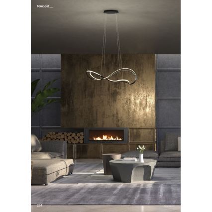 Redo 01-3599 - LED stmievateľný luster na lanku TEMPEST LED/58W/230V čierna