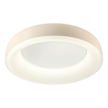 Redo 01-3723 - LED stropné svietidlo DIP LED/40W/230V 2700/3000/4000/5000/6500K CRI 90 priemer 62,4 cm béžová
