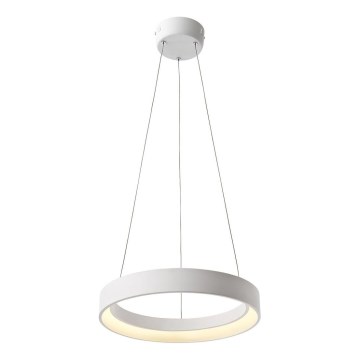 Redo 01-671 - LED Luster na lanku LOOP LED/38W/230V pr. 45 cm biela
