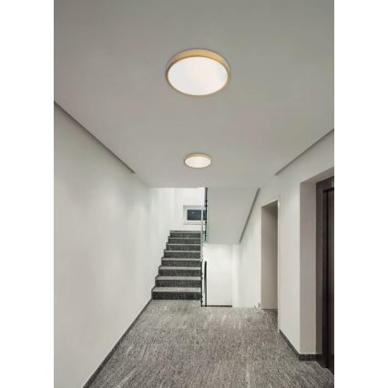 Redo 05-932 - LED Stropné svietidlo KNOB LED/36W/230V 3000K-6500K 40 cm zlatá