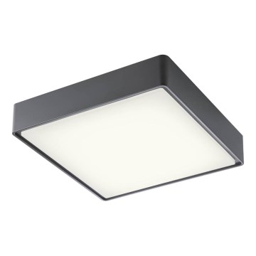 Redo 90158 - LED Vonkajšie stropné svietidlo MARINA LED/16W/230V 29,6x29,6 cm IP65 antracit