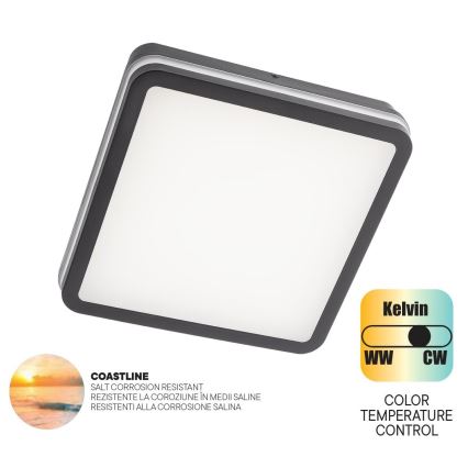 Redo 90288 - LED Vonkajšie stropné svietidlo ISOLA LED/24W/230V 26x26 cm 3000/4000/6500K IP54 antracit