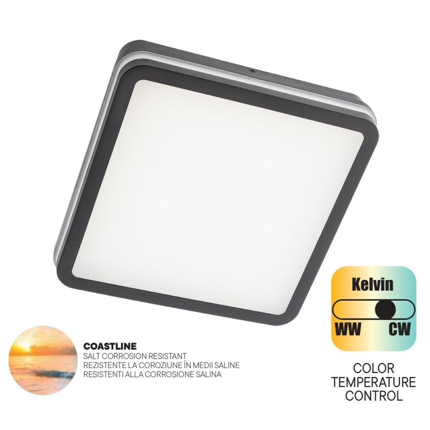 Redo 90288 - LED Vonkajšie stropné svietidlo ISOLA LED/24W/230V 26x26 cm 3000/4000/6500K IP54 antracit