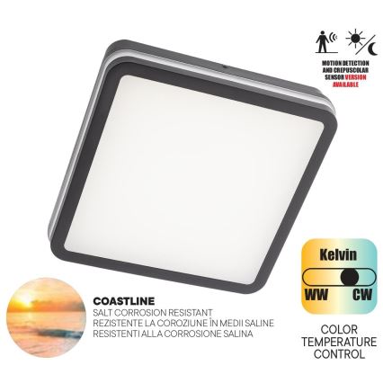 Redo 90292 - LED Vonkajšie stropné svietidlo so senzorom ISOLA LED/24W/230V 26x26 cm 3000/4000/6500K IP54 antracit