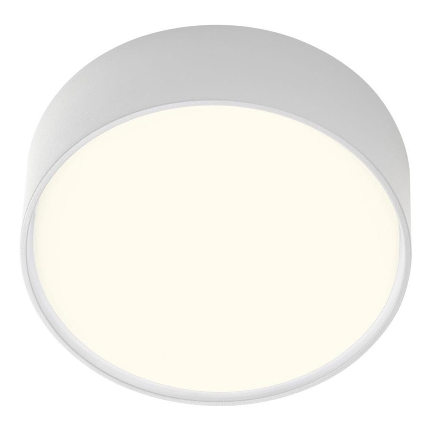 Redo 90494 - LED Vonkajšie stropné svietidlo URANIA LED/10W/230V pr. 16 cm 3000K IP65 biela