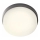 Redo 90516 - LED Vonkajšie stropné svietidlo URANIA LED/10W/230V pr. 16 cm IP65 antracit