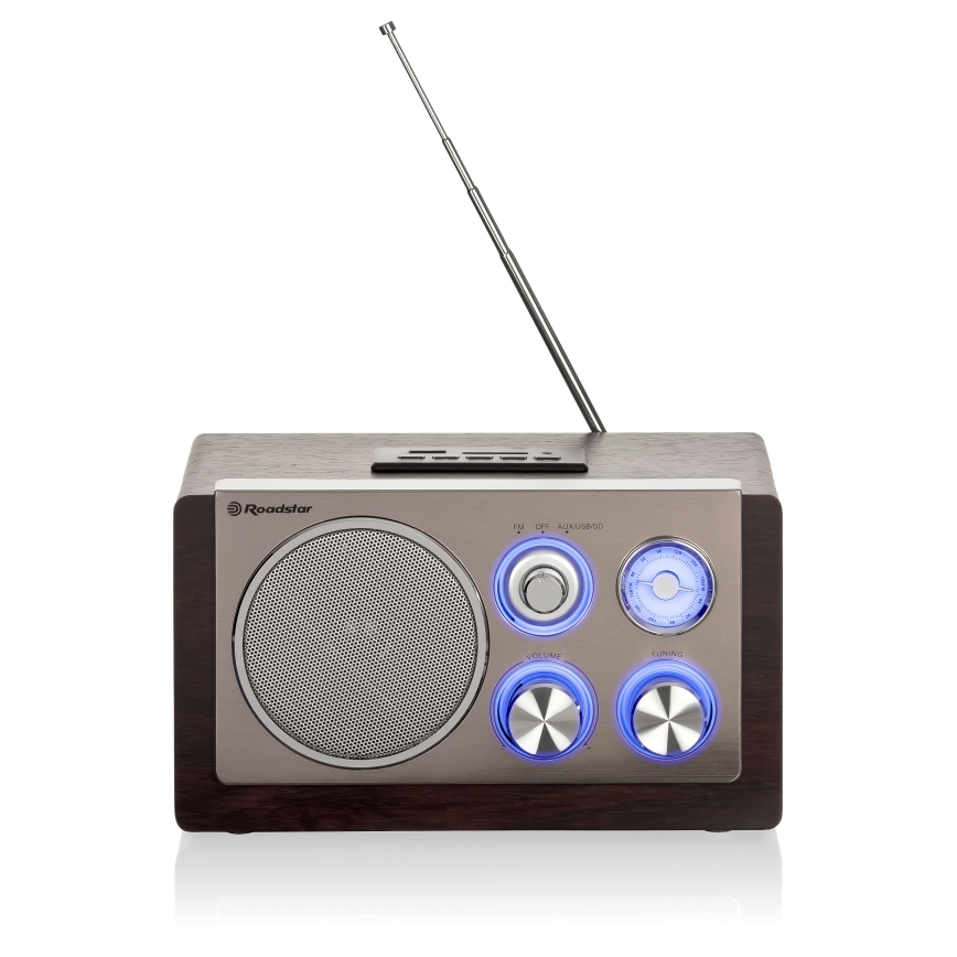 Roadstar HRA-1345NUS/WD - FM rádio 16 W/230 V