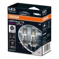 SADA 2x LED Autožiarovka EASY GEN H7 PX26d/16W/12V 6500K - Osram