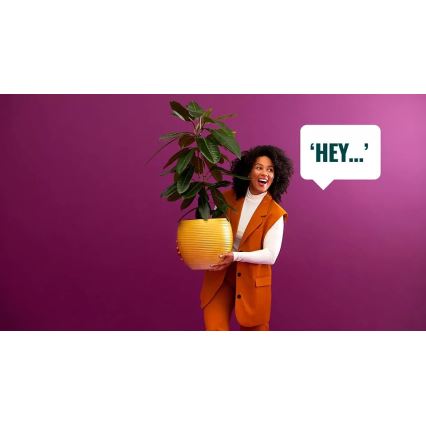 Žena v oranžovom obleku drží veľkú izbovú rastlinu v žltej kvetináči pred fialovým pozadím. Vedľa nej je rečová bublina s textom „HEY…“.