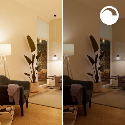 SADA 2x LED RGB stmievateľná žiarovka Philips SMART A60 E27/8,5W/230V 2200-6500K