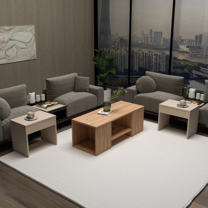 SADA 3x konferenčný stolík SOLIS 45/45/100x30/30/40 cm béžová/smrek