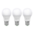 SADA 3x LED Žiarovka ECOLINE A60 E27/10W/230V 6500K - Brilagi