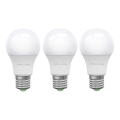 SADA 3x LED Žiarovka ECOLINE A60 E27/15W/230V 6500K - Brilagi
