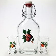 Sada vector - 1x veľká fľaša + 2x pohár na panáky číra s motívom ovocia