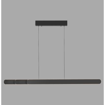 Schöner Wohnen 12577-18 - LED stmievateľné závesné svietidlo na lanku ADRIANA ROUND 2xLED/24W/230V 2700/3000/3500/4000/5000K čierne