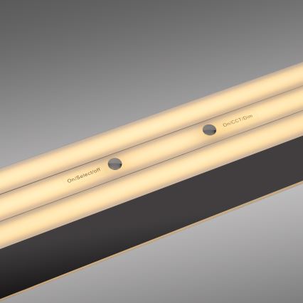 Schöner Wohnen 12577-18 - LED stmievateľné závesné svietidlo na lanku ADRIANA ROUND 2xLED/24W/230V 2700/3000/3500/4000/5000K čierne