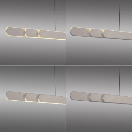 Schöner Wohnen 12577-39 - LED stmievateľný luster na lane ADRIANA ROUND 2xLED/24W/230V 2700/3000/3500/4000/5000K sivá