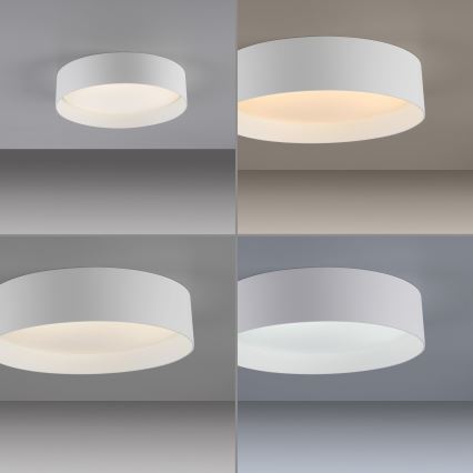 Schöner Wohnen 14593-16 - LED stmievateľné stropné svietidlo TAVOLI LED/10W/230V 2700-6500K pr. 28,5 cm biele + diaľkové ovládanie