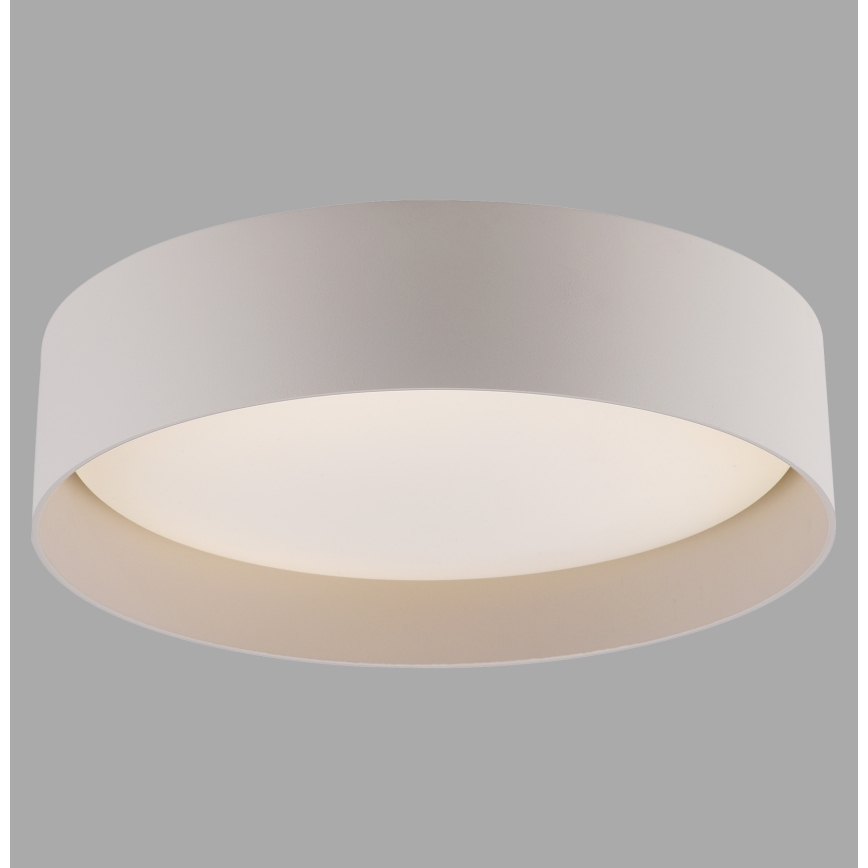 Schöner Wohnen 14593-39 - Stmievateľné LED stropné svietidlo TAVOLI LED/10W/230V 2700-6500K priemer 28,5 cm sivá + diaľkové ovládanie