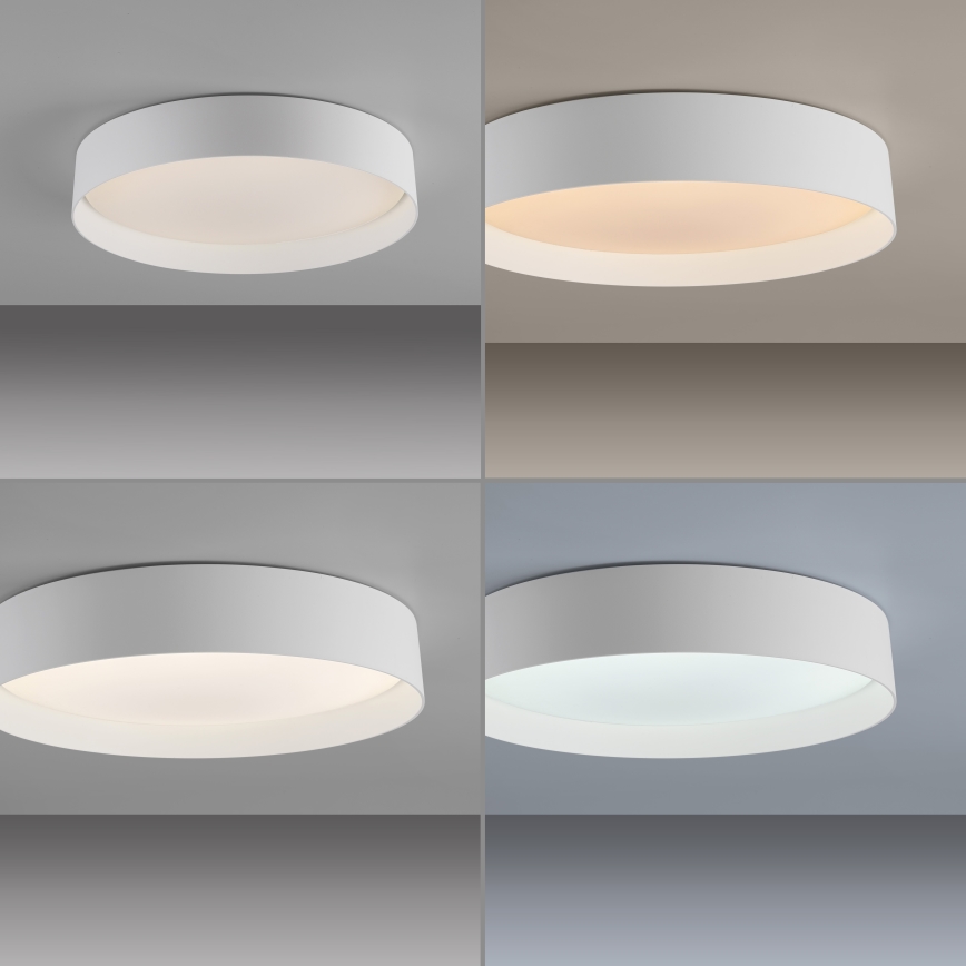 Schöner Wohnen 14594-16 - LED stmievateľné stropné svietidlo TAVOLI LED/20W/230V 2700-6500K priemer 39 cm biela + diaľkové ovládanie