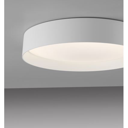 Schöner Wohnen 14594-16 - LED stmievateľné stropné svietidlo TAVOLI LED/20W/230V 2700-6500K priemer 39 cm biela + diaľkové ovládanie