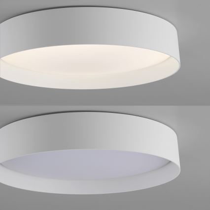 Schöner Wohnen 14594-16 - LED stmievateľné stropné svietidlo TAVOLI LED/20W/230V 2700-6500K priemer 39 cm biela + diaľkové ovládanie