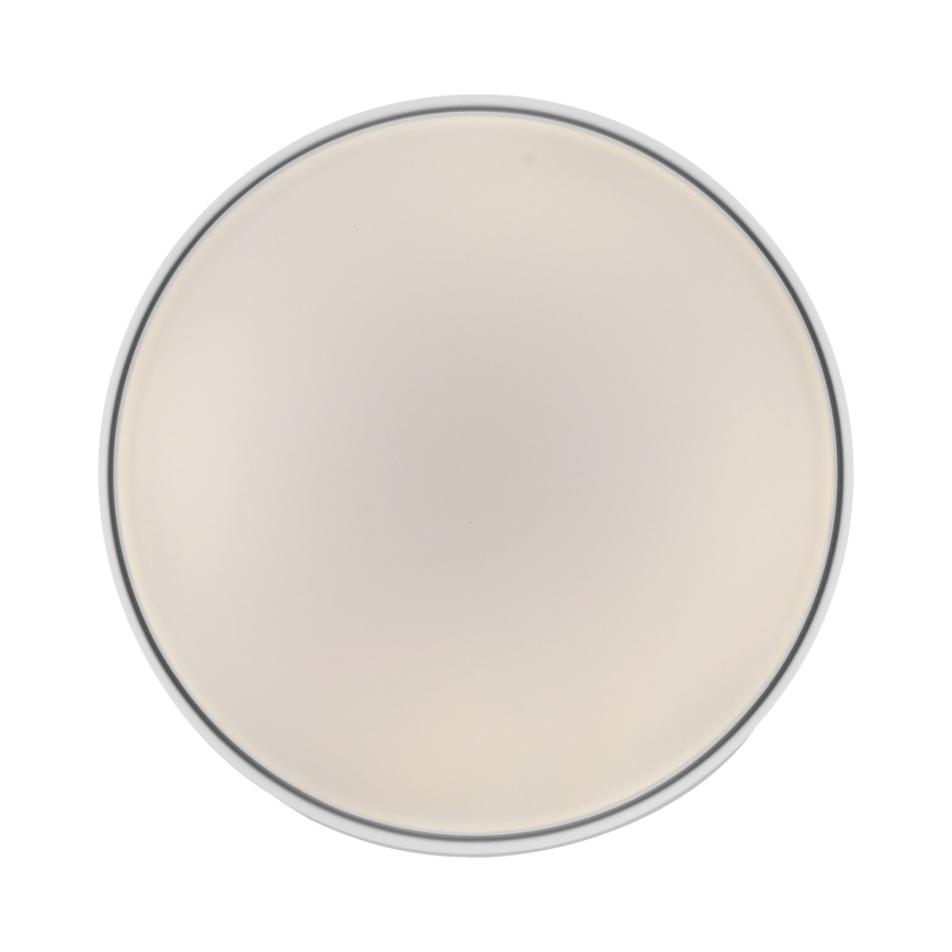 Schöner Wohnen 14594-16 - LED stmievateľné stropné svietidlo TAVOLI LED/20W/230V 2700-6500K priemer 39 cm biela + diaľkové ovládanie