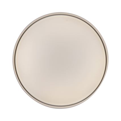 Schöner Wohnen 14594-39 - LED stmievateľné stropné svietidlo TAVOLI LED/20W/230V 2700-6500K pr. 39 cm sivá + diaľkové ovládanie