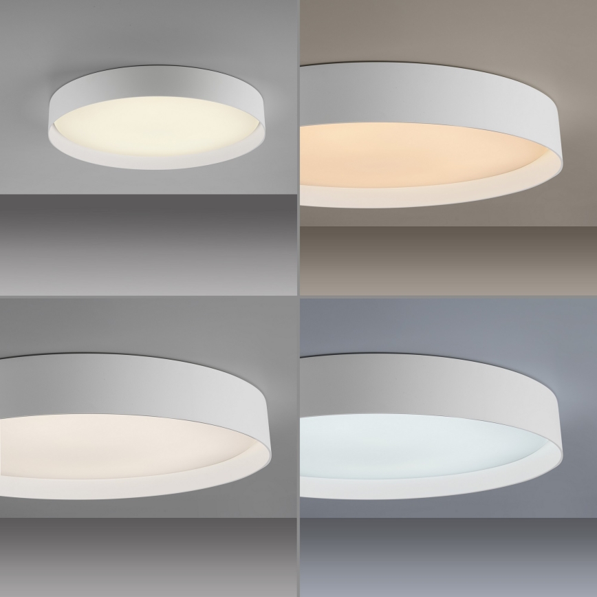 Schöner Wohnen 14595-16 - LED stmievateľné stropné svietidlo TAVOLI LED/34W/230V 2700-6500K pr. 49 cm biela + diaľkové ovládanie