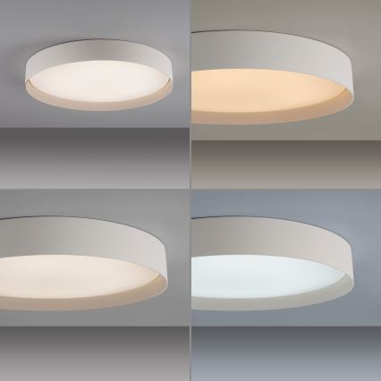 Schöner Wohnen 14595-39 - LED stmievateľné stropné svietidlo TAVOLI LED/34W/230V 2700-6500K priemer 49 cm sivá + diaľkové ovládanie