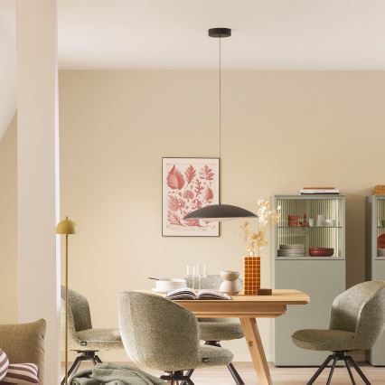 Schöner Wohnen 14606-18 - stmievateľný LED luster na lanku LENTE LED/17W/230V pr. 40 cm čierna