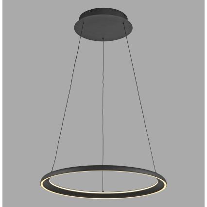 Schöner Wohnen 15570-18 - Stmievateľný LED závesný luster na lanku QUILLO LED/36W/230V priemer 60 cm čierna