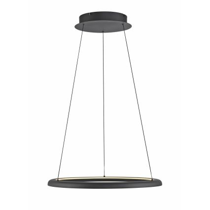 Schöner Wohnen 15570-18 - Stmievateľný LED závesný luster na lanku QUILLO LED/36W/230V priemer 60 cm čierna