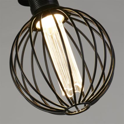 Searchlight - LED stmievateľná dekoratívna žiarovka GLOBE E27/4,5W/230V 2700K
