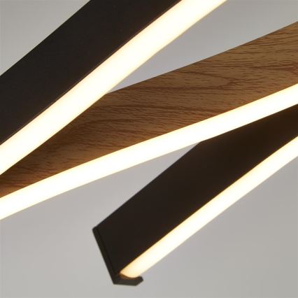 Searchlight - LED závesný luster na lanku BLOOM LED/38W/230V 2300/3000/4000K