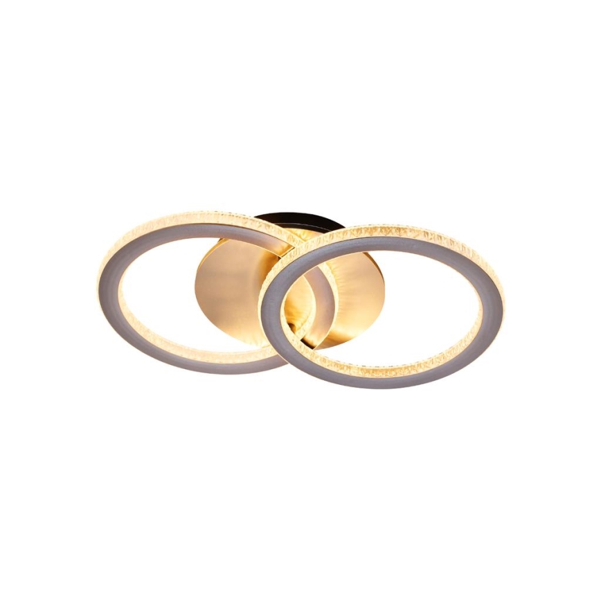 Searchlight - LED Stmievateľné stropné svietidlo SPECS LED/24W/230V 3000K 25x42,5 cm