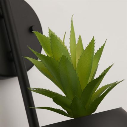 Searchlight - Nástenné svietidlo LUNAR 1xG9/4W/230V