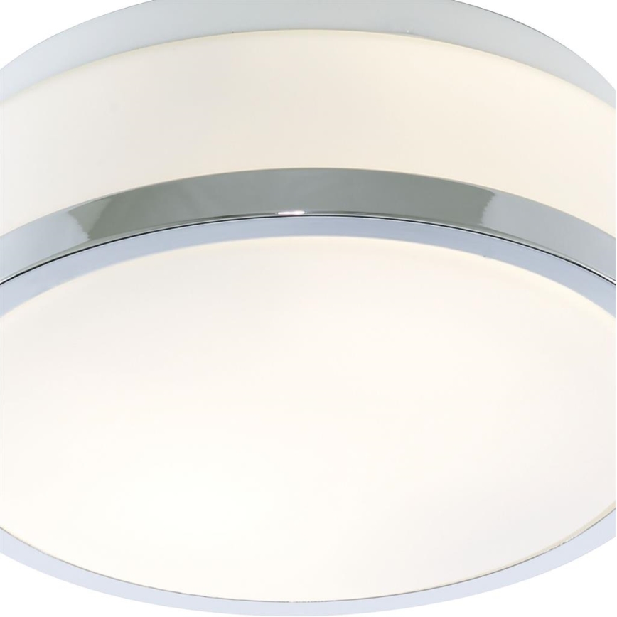 Searchlight - Kúpeľňové stropné svietidlo DISC 1xE27/60W/230V IP44