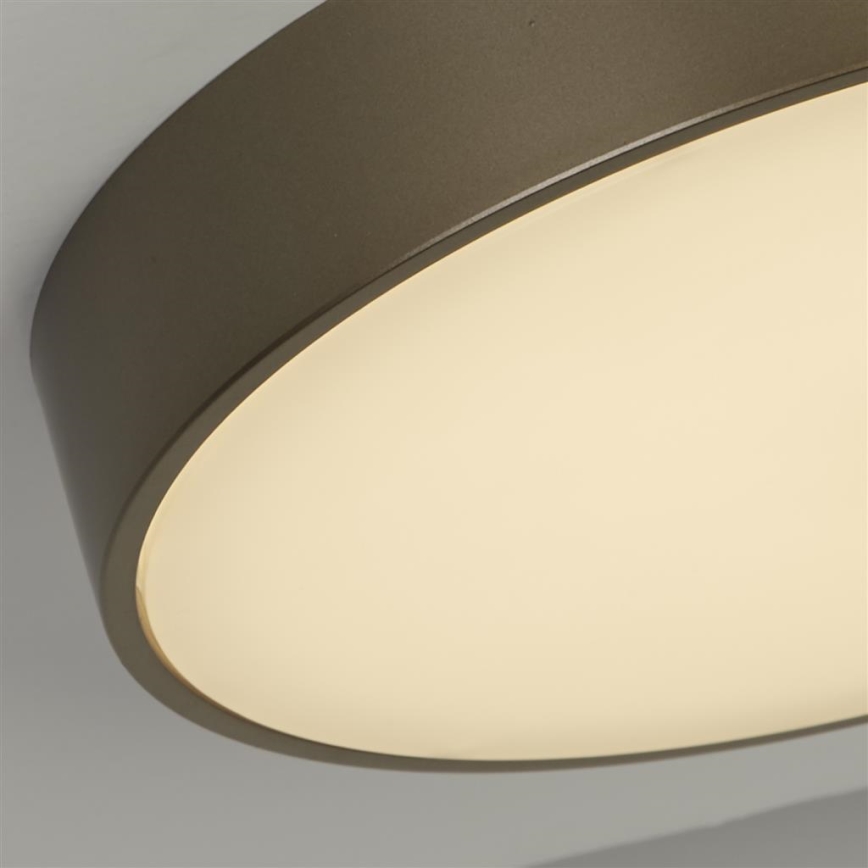 Searchlight - LED stropné svietidlo PALMA LED/12W/230V 3000K priemer 25 cm bronzové